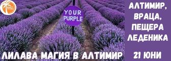 Lavandulovi poleta Altimir ,Lavanda 2026