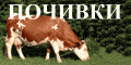 Банер